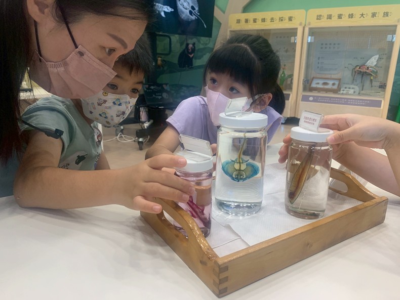 幼兒園：魚兒總動員(8/15)-圖片9