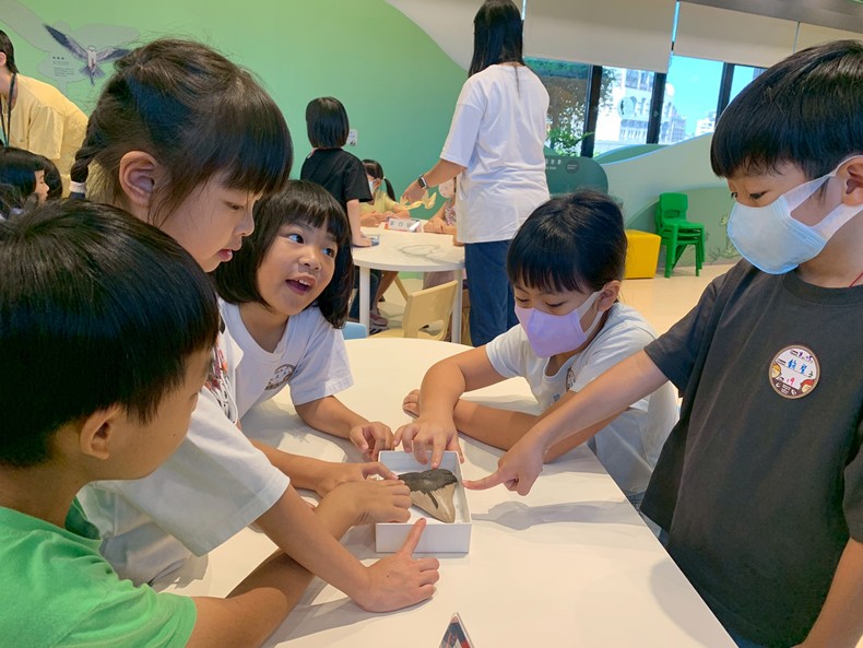 幼兒園：魚兒總動員(8/15)-圖片11
