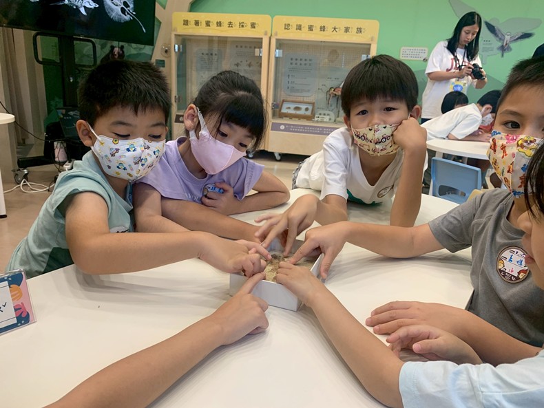幼兒園：魚兒總動員(8/15)-圖片12
