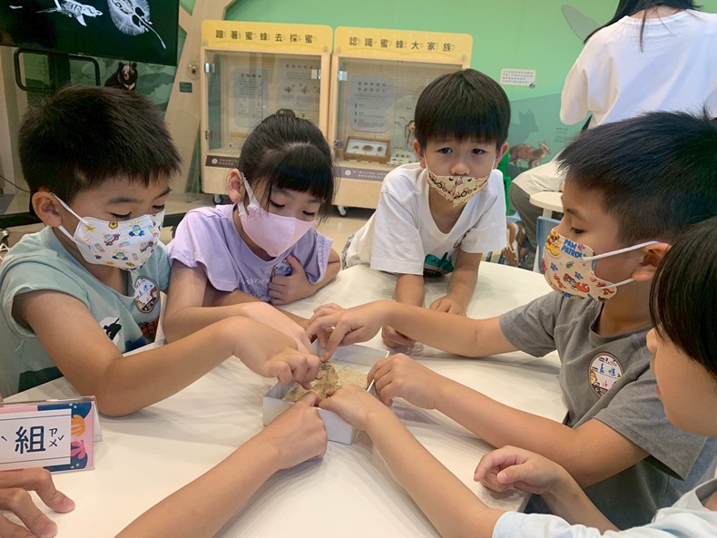 幼兒園：魚兒總動員(8/15)-圖片13