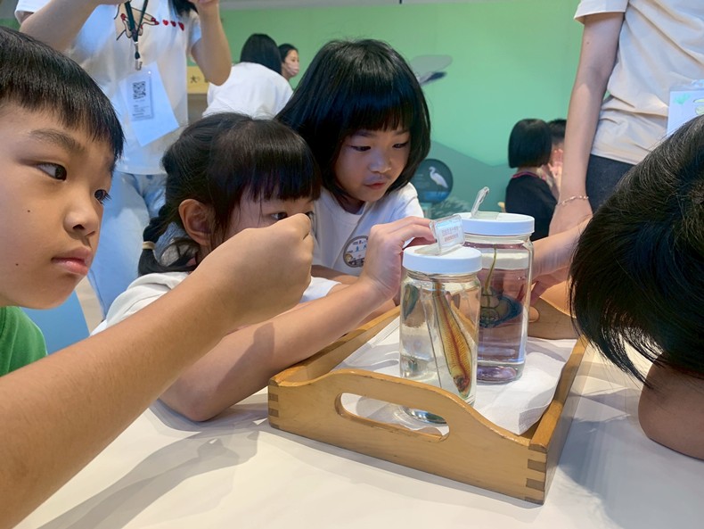 幼兒園：魚兒總動員(8/15)-圖片14