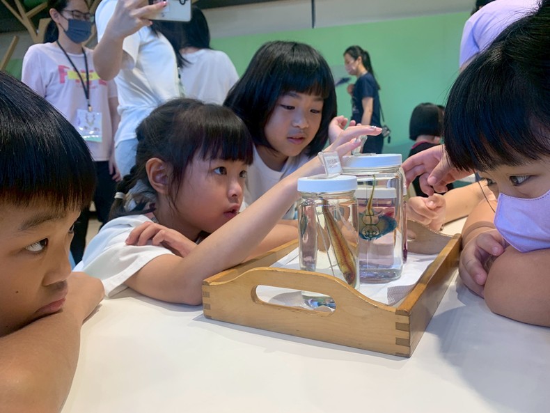 幼兒園：魚兒總動員(8/15)-圖片15