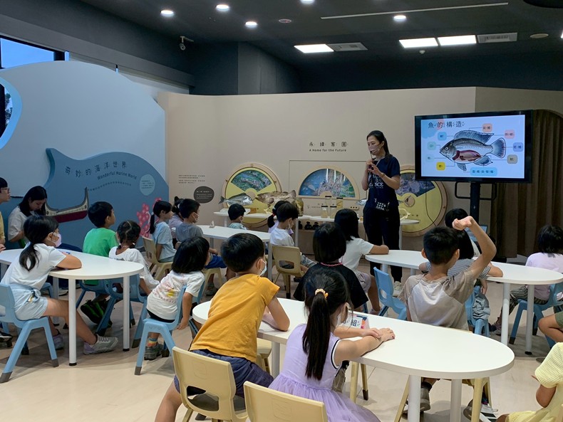 幼兒園：魚兒總動員(8/15)-圖片17