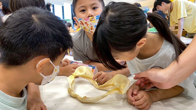 幼兒園：魚兒總動員(8/15)-圖片78