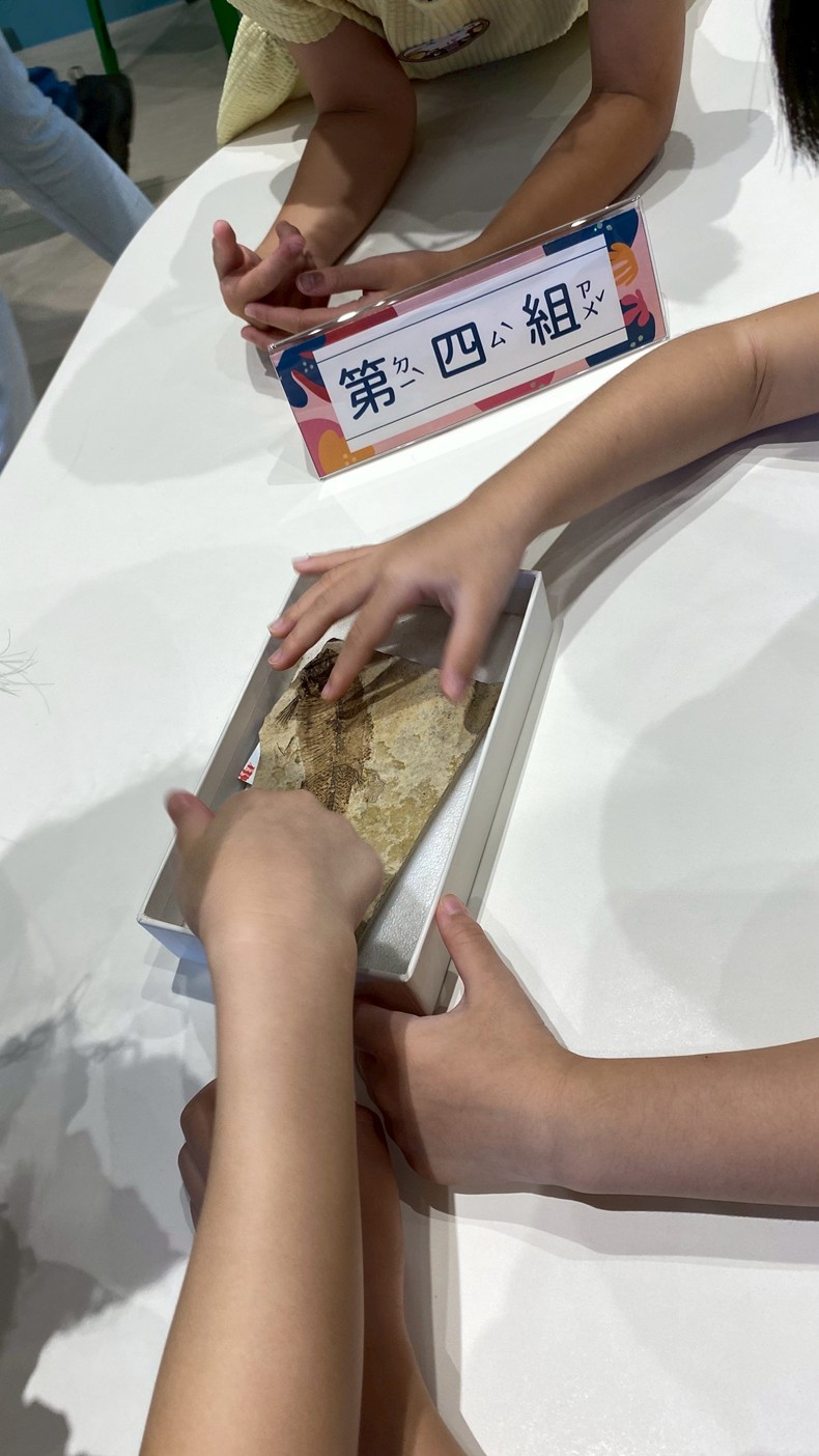 幼兒園：魚兒總動員(8/15)-圖片79