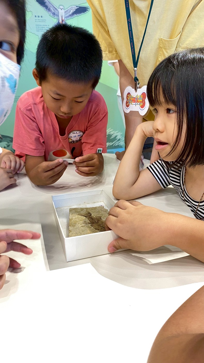幼兒園：魚兒總動員(8/15)-圖片84