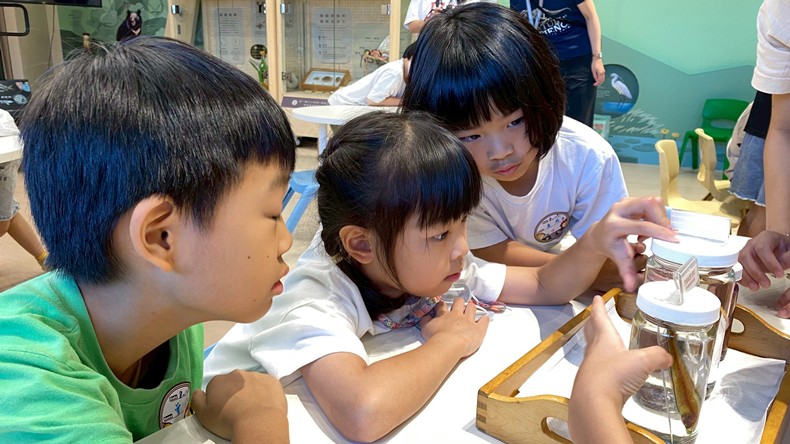 幼兒園：魚兒總動員(8/15)-圖片87