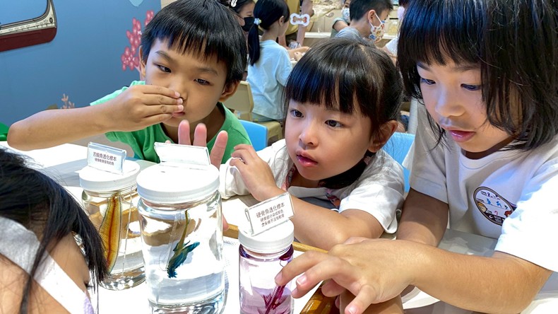 幼兒園：魚兒總動員(8/15)-圖片88