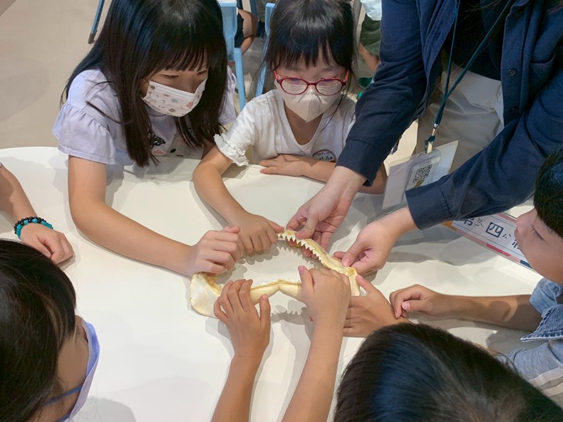幼兒園：魚兒總動員(8/20)-圖片1