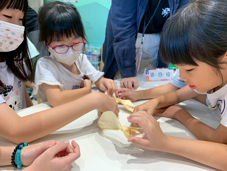 幼兒園：魚兒總動員(8/20)-圖片3