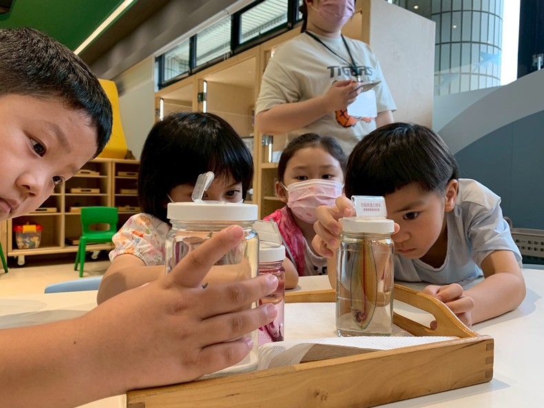 幼兒園：魚兒總動員(8/20)-圖片5