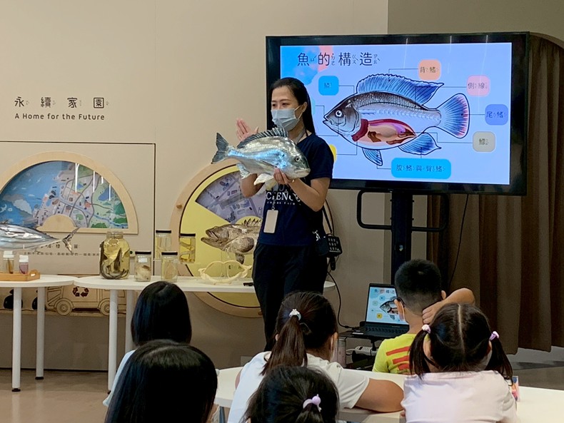 幼兒園：魚兒總動員(8/20)-圖片7