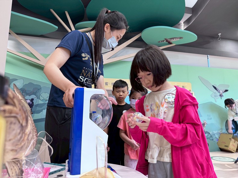 幼兒園：魚兒總動員(8/20)-圖片24
