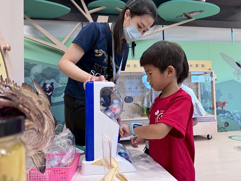 幼兒園：魚兒總動員(8/20)-圖片37