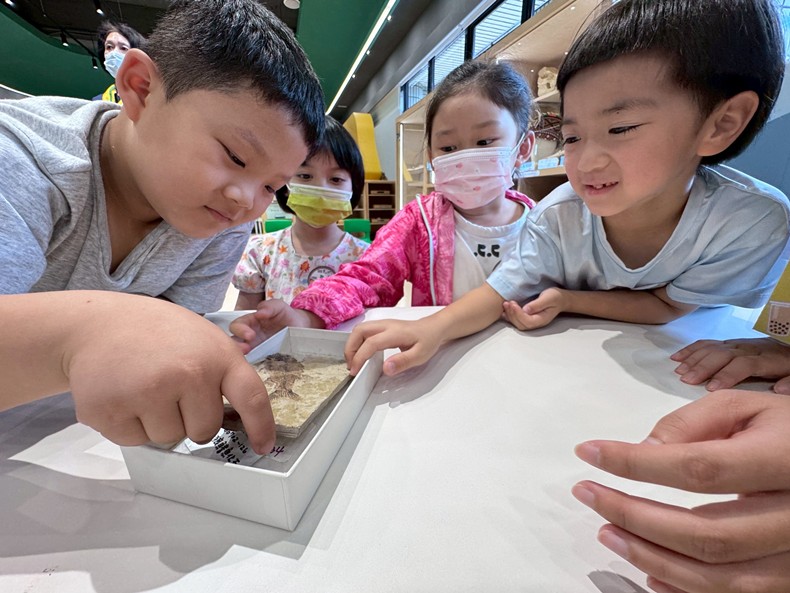 幼兒園：魚兒總動員(8/20)-圖片91