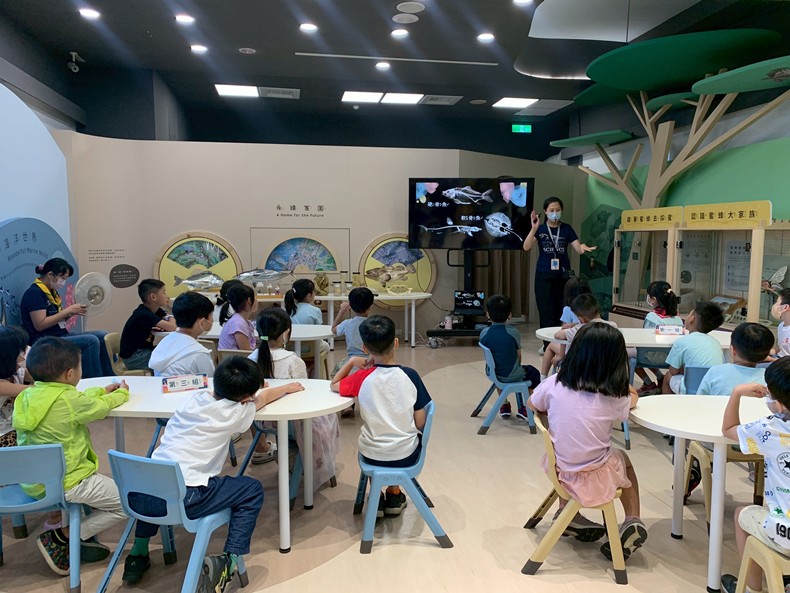 幼兒園：魚兒總動員(8/22)-圖片1
