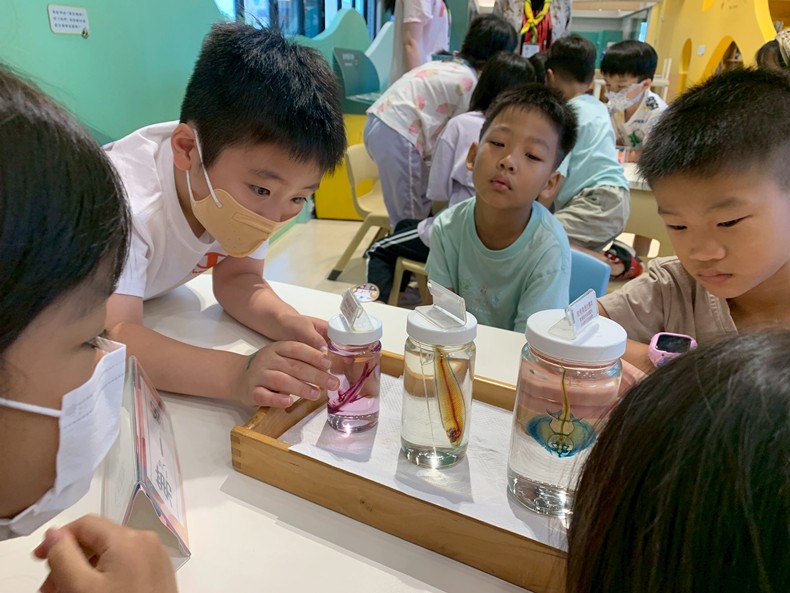 幼兒園：魚兒總動員(8/22)-圖片2