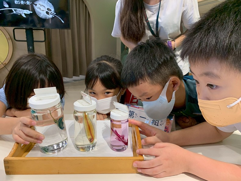 幼兒園：魚兒總動員(8/22)-圖片3