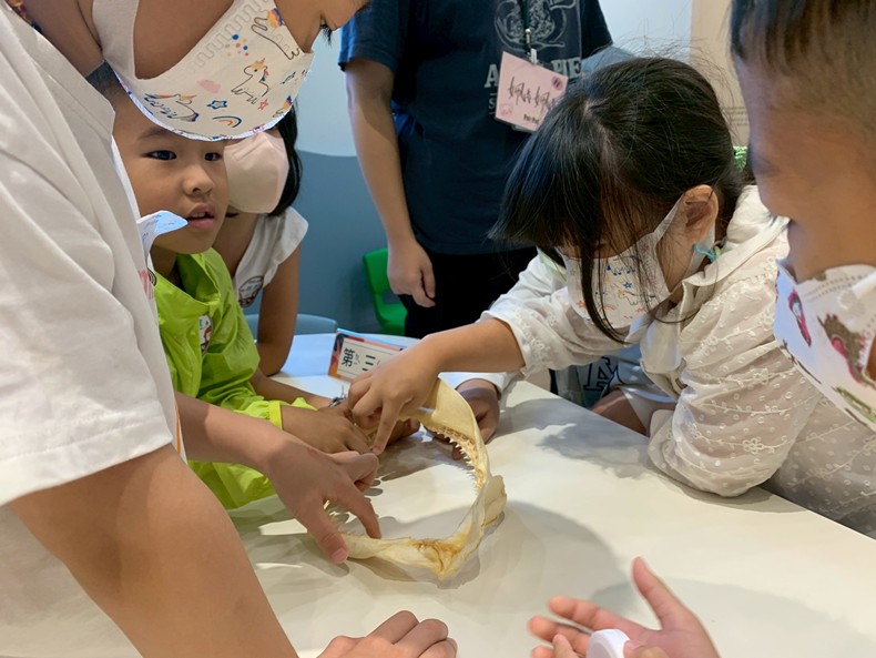 幼兒園：魚兒總動員(8/22)-圖片5