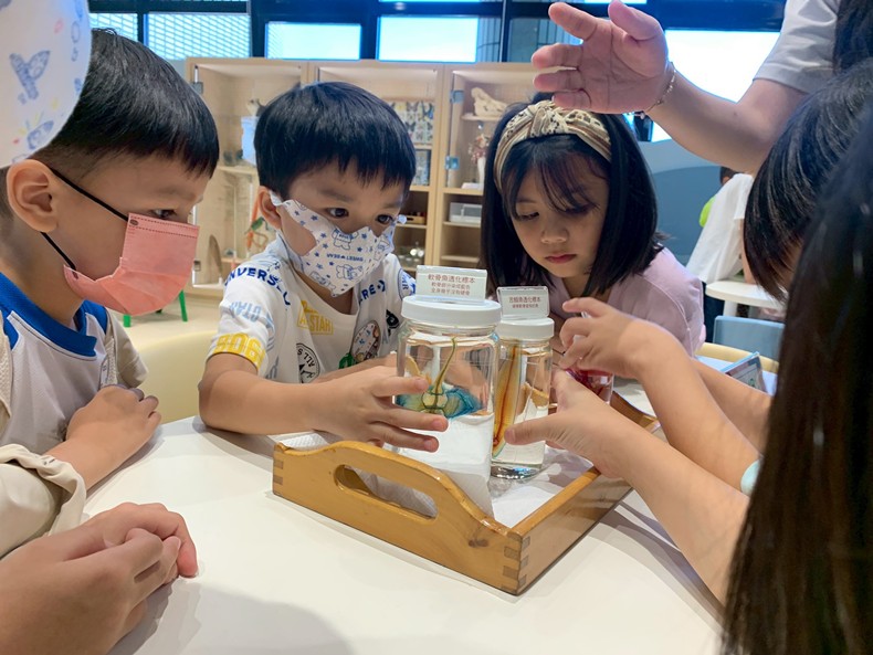 幼兒園：魚兒總動員(8/22)-圖片8