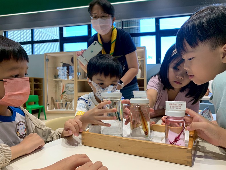 幼兒園：魚兒總動員(8/22)-圖片9