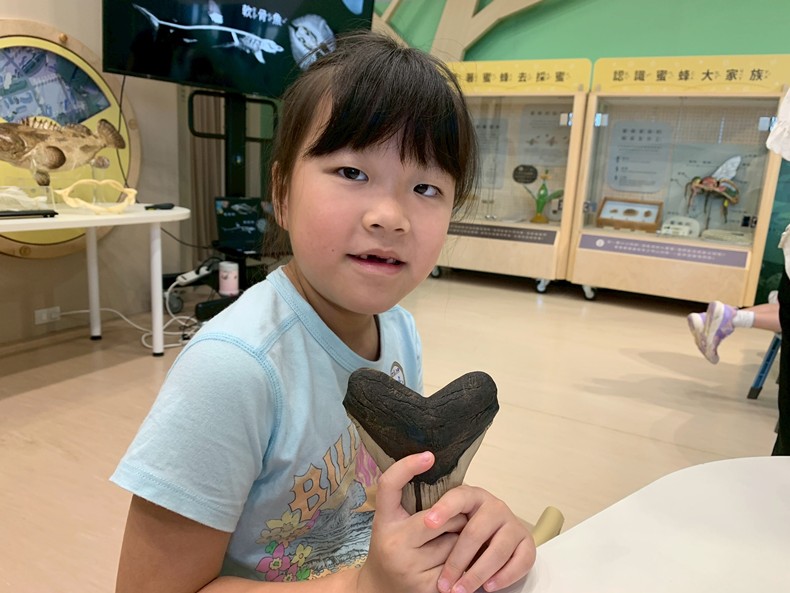 幼兒園：魚兒總動員(8/22)-圖片10