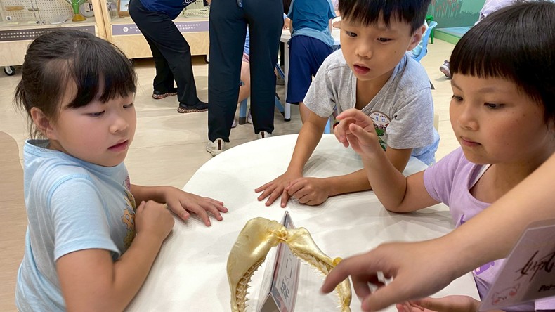 幼兒園：魚兒總動員(8/22)-圖片23