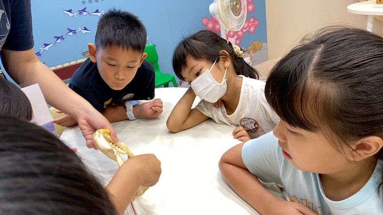 幼兒園：魚兒總動員(8/22)-圖片24