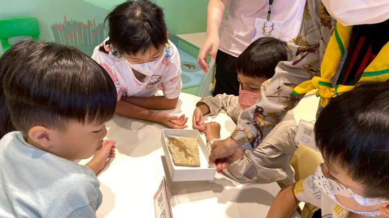 幼兒園：魚兒總動員(8/22)-圖片25