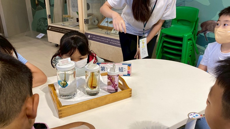 幼兒園：魚兒總動員(8/22)-圖片27