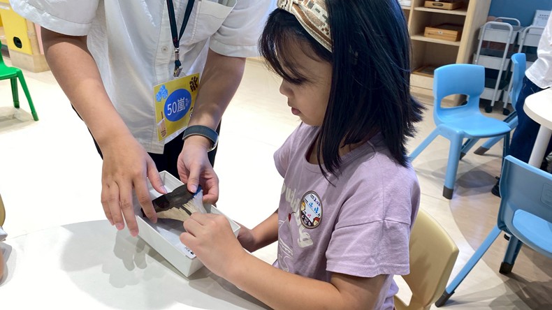 幼兒園：魚兒總動員(8/22)-圖片30