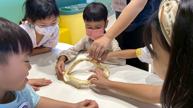 幼兒園：魚兒總動員(8/22)-圖片31