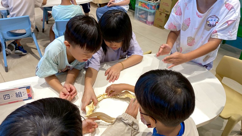 幼兒園：魚兒總動員(8/22)-圖片32