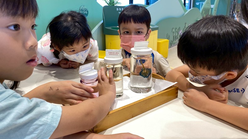 幼兒園：魚兒總動員(8/22)-圖片34