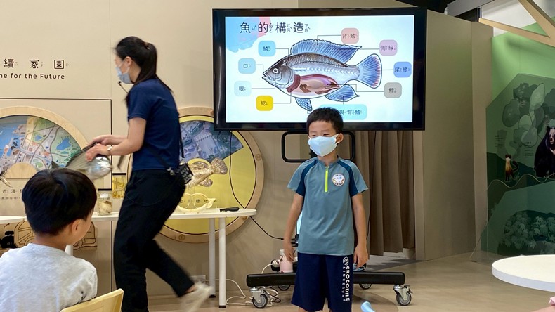 幼兒園：魚兒總動員(8/22)-圖片37