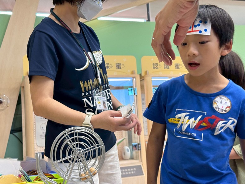 幼兒園：昆蟲大變身(10/29)-圖片22