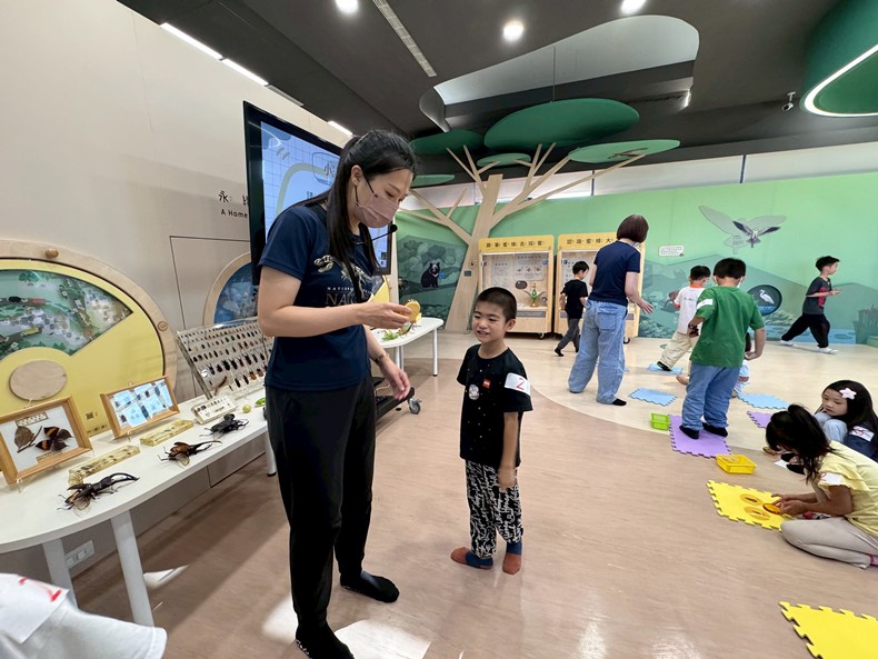 幼兒園：昆蟲大變身(10/29)-圖片83
