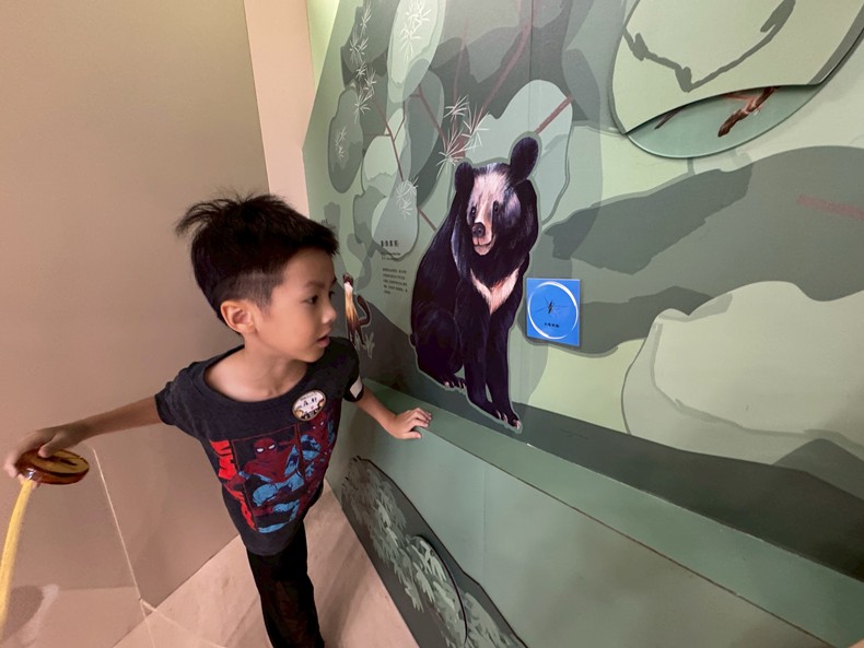 幼兒園：昆蟲大變身(10/29)-圖片89