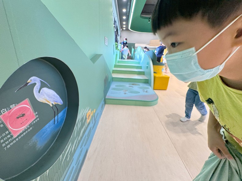 幼兒園：昆蟲大變身(10/29)-圖片90