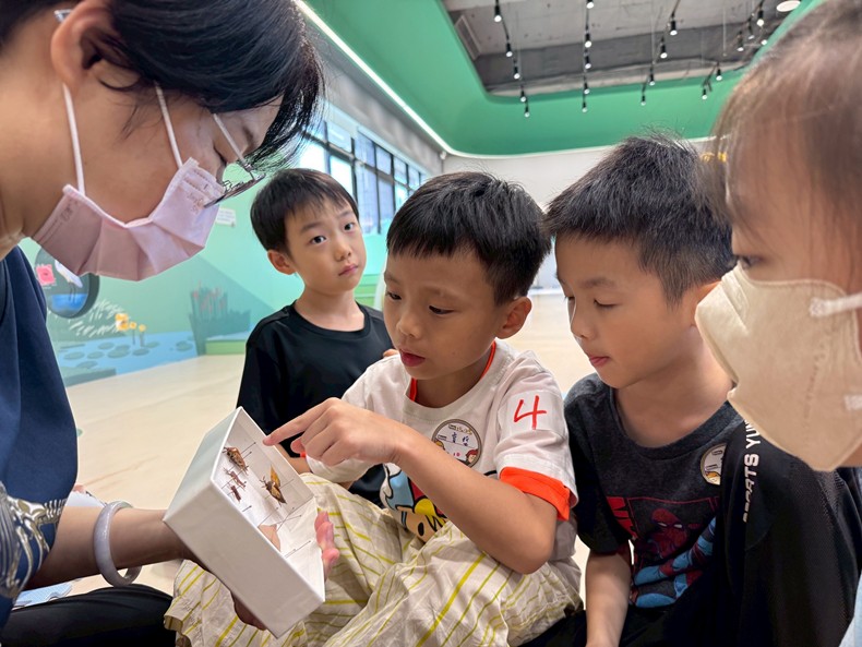 幼兒園：昆蟲大變身(10/29)-圖片95