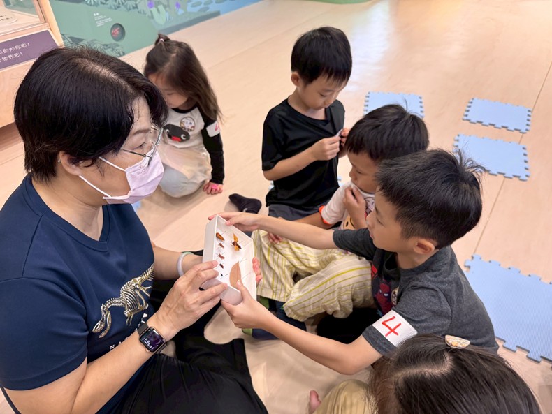 幼兒園：昆蟲大變身(10/29)-圖片96