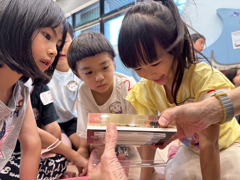 幼兒園：昆蟲大變身(10/29)-圖片97