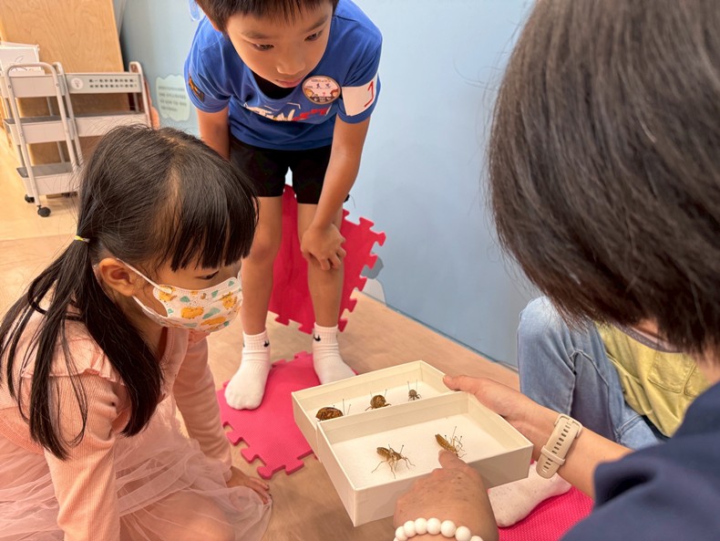 幼兒園：昆蟲大變身(10/29)-圖片99