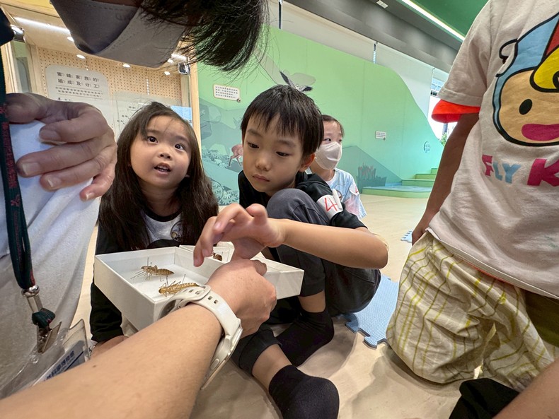 幼兒園：昆蟲大變身(10/29)-圖片101