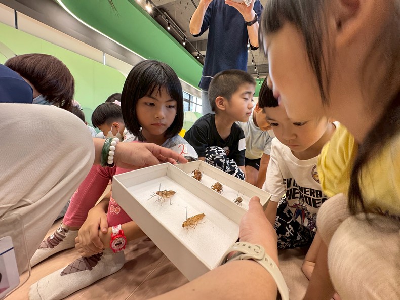 幼兒園：昆蟲大變身(10/29)-圖片106