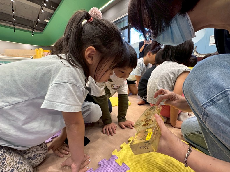 幼兒園：昆蟲大變身(10/29)-圖片108