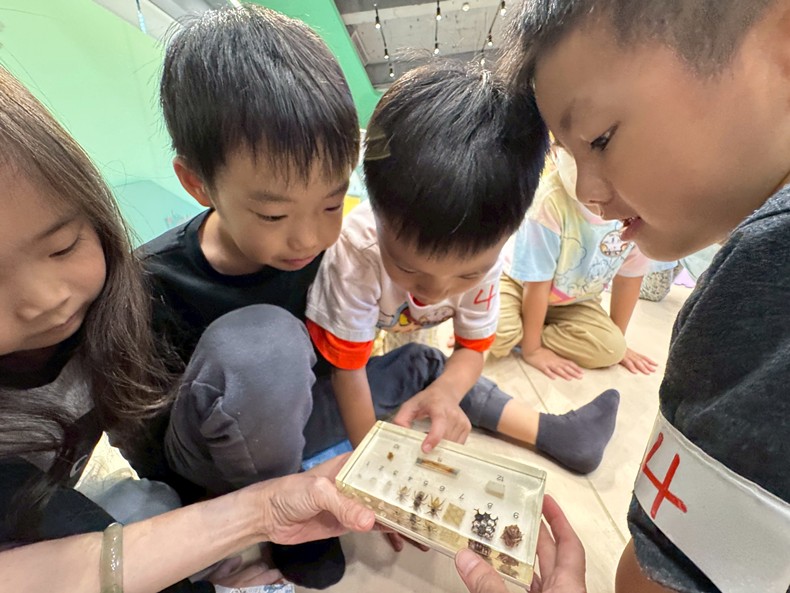 幼兒園：昆蟲大變身(10/29)-圖片109