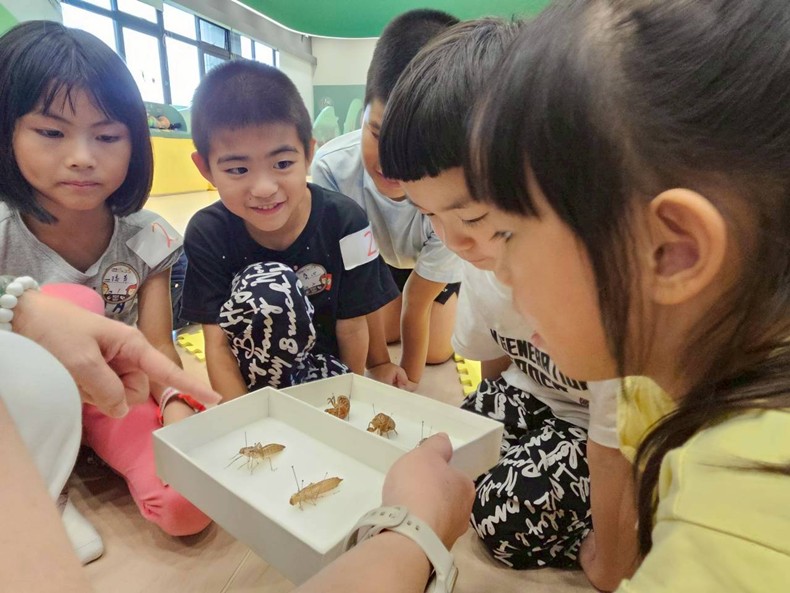 幼兒園：昆蟲大變身(10/29)-圖片110