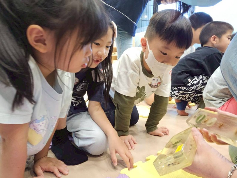 幼兒園：昆蟲大變身(10/29)-圖片111