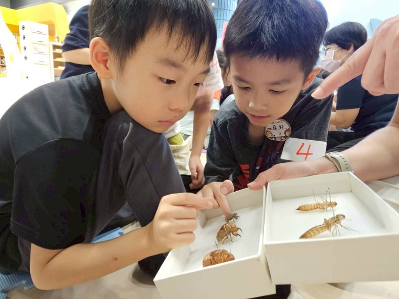 幼兒園：昆蟲大變身(10/29)-圖片113